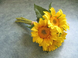 yԍށzԁEЂ܂@VTt[oh16{@CG[