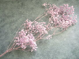 楽天市場】【防虫加工☆花材】ドライフラワー 大地農園ヘリクリサム 