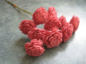 yԍށzhCt[@\[[[Y110{@t{[Y