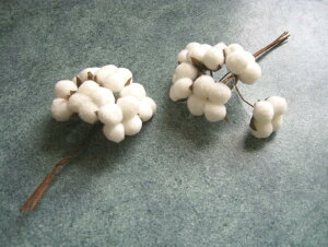 yԍށzԁEsbN@^m~tFCN112{