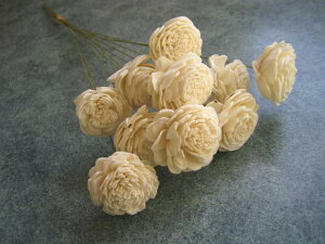 �y�ԍށz�h���C�t�����[�@��n�_���\�[���[���[�Y��1��10�{����@��