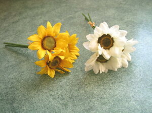 yԍށzԁEЂ܂@~jTt[sbN13{@CG[