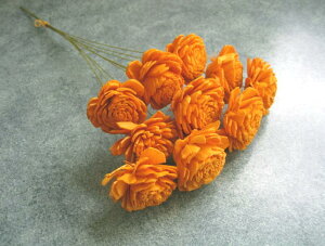 �y�ԍށz�h���C�t�����[�@��n�_���\�[���[���[�Y��1��10�{����@�I�����W