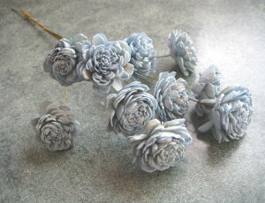 �y�ԍށz�h���C�t�����[�@��n�_���\�[���[���[�Y��1��10�{����@�x�r�[�u���[