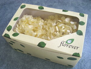 yԍށ@AWTCzvU[uht[@t[Go[AfXAWTC1@\tgCG[