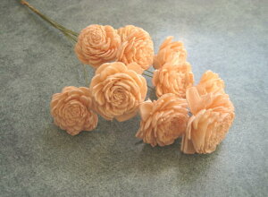 �y�ԍށz�h���C�t�����[�@�\�[���[���[�Y��1��10�{����@�s�[�`�V���[�x�b�g