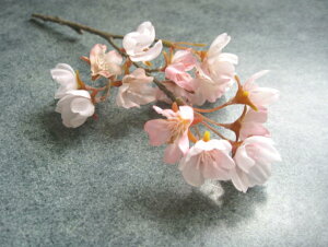 yԍށzԃt[@d~jsbN@1{