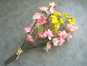 yԍށzԁEЂȂ܂@ЂȂ̉ԑ@1