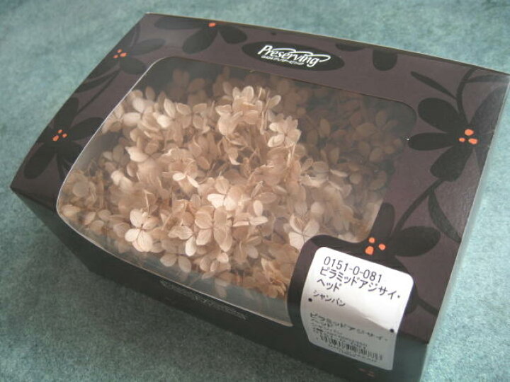 楽天市場】【花材 アジサイ】プリザーブドフラワー 大地農園ピラミッド 