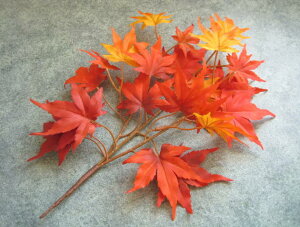 yԍށzԁEgt@݂}~j13{@bh