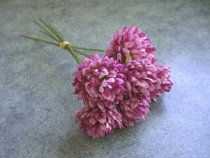 yԍށzԁ@xG}sbN16{@x_[CbN