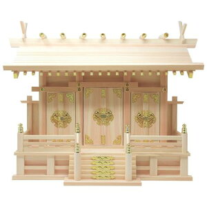 R_X _I ʂO _V[t { Y w O Ђ̂ 54cm 40cm 21.5cm