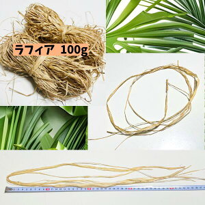 tBA 100g  | VR nN wC Ԋ bsO nhCh q^q`A ߑ t_XnCA Ntg raffia