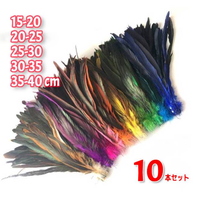 フェザータヒチアンダンス衣装サンババレエ材料羽根染め40cm45cm10本セット天然