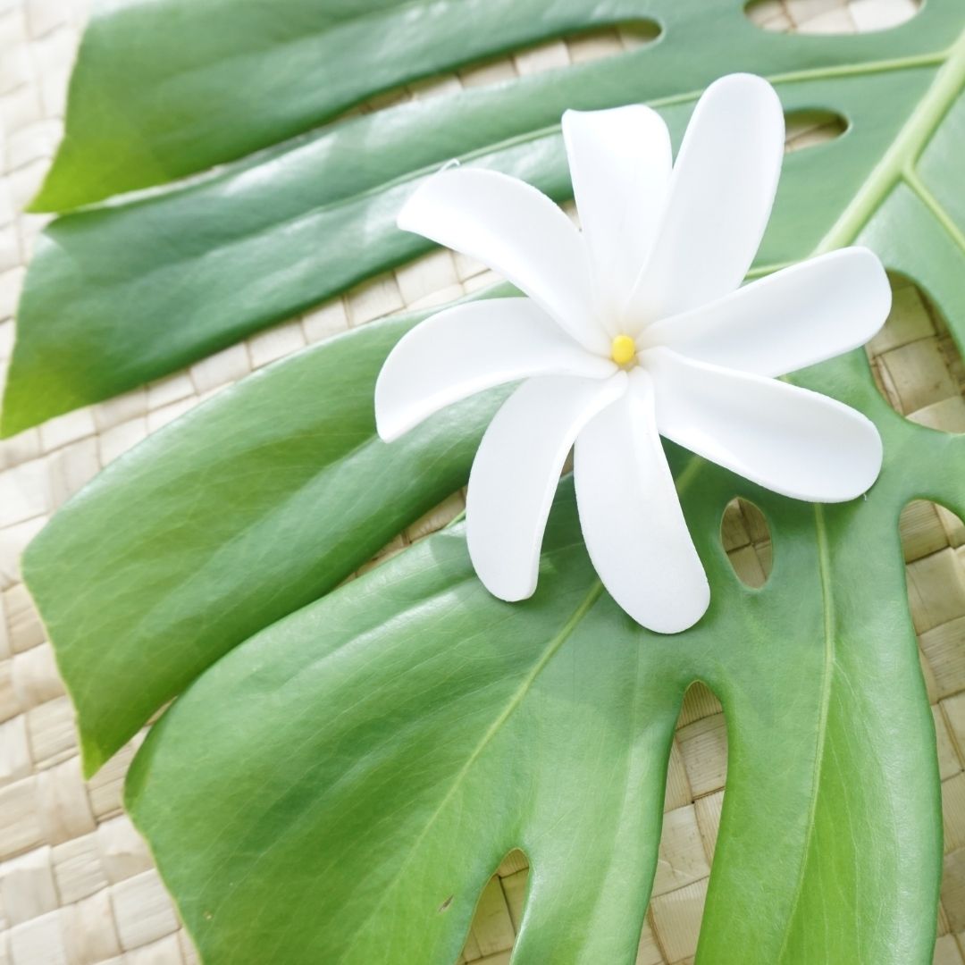 タヒチの花ティアレ造花ヘアクリップデラックス送料無料プレゼントに最適くちなしの花子供のパーティー二次会リゾ婚ハワイウエディング海外挙式アクセサリー