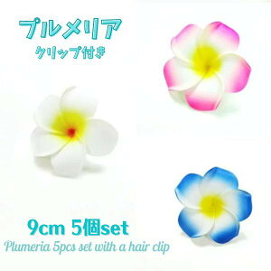 5Zbg vA Nbv y  / sN /  z 9cm 葕 wAANZ ANZT[ nC t_X t yY 썑 gsJ CeA fBXvC p[eB[ v