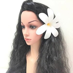  eBA Nbv 15cm y7FWJz nCA t_X t ^q`A_X ߑ RX`[ wbhhX ][g p[eB[ 썑 CeA gsJ o t f