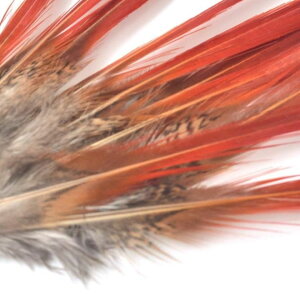 LPC ь{ tFU[ y5TCYWJz VR | ANZT[ ߑ H Hulu ^q`A To oG _X RX`[