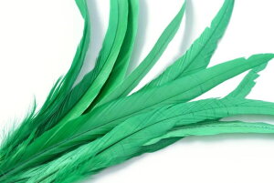 y30|CgAbvzPF O tFU[ y11FWJz H VR    F IW  sN     F ^[RCY  Y{ K [X^[ ^q`A_X t_X