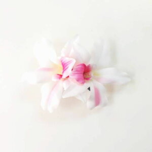 I[Lbh wANbv _uVv t_X nCA ^q`A_X \ Cxg  ߑ    EGfBO p[eB[ ؂₩ ANZT[ wAN