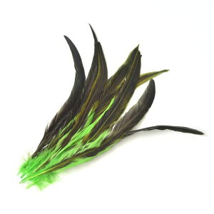 i` OtFU[ y10FWJzF H Jt tFU[ | DIY CeA  p[eB[  To ^q`A ^q`A_X ߑ