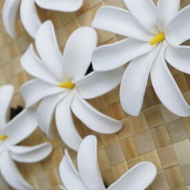 楽天市場 ティアレの通販