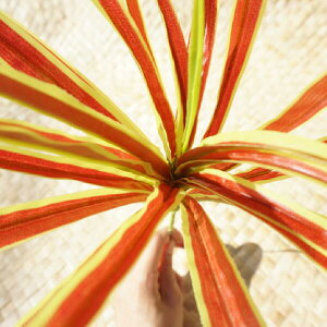 hZi RVl Id ubV tFCN[t ϗtA ^q`A_X ߑ qbvxg wbhhX 썑 gsJ |lVA nCA CeA fBXvC 