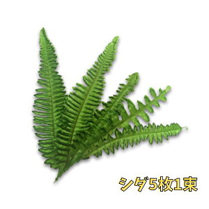 V_ p[c B ϗtAgsJ ^q`A _X t_X nCA t I^q` t ߑ ޗ  nN wC Ԋ qbvxg gbvX IWi JX^Ch DIY 