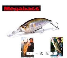 【Megabass メガバス】IXI SHAD TYPE-3　アイバイアイ シャッド タイプ3 （その2）