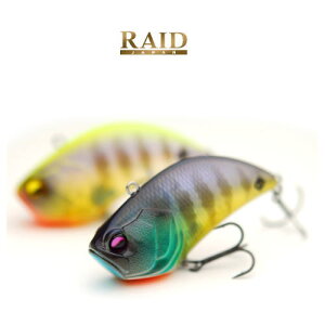 ChWp@xoCu@RAID JAPAN LEVEL VIB