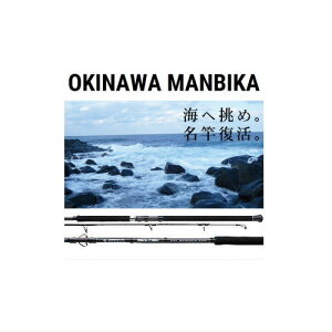 �e�C���E�H�[�N �I�L�i���}���r�J�yC100SXH�zTailwalk OKINAWA MANBIKA