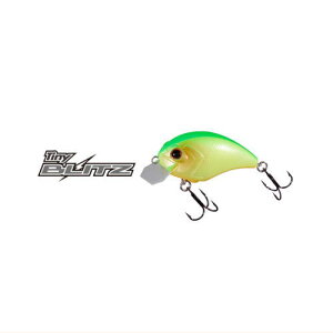 OSP@^Cj[ubc@Tiny BLITZ