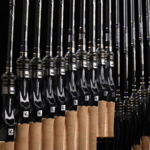 eCEH[N@tW yC71XHz@Tailwalk FULLRANGE C71XH