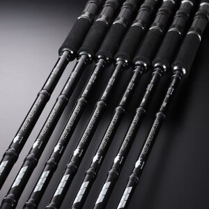 ƒeƒCƒ‹ƒEƒH[ƒN ƒ‰ƒCƒYƒVƒ…[ƒ^[SSDyS100MHzTailwalk RIZE SHOOTER SSD