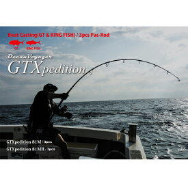 【メーカー取り寄せ商品・納期1～2ヵ月】リップルフィッシャー オーシャンボイジャー GTXpedition 81MH　Ripple Fisher OceanVoyager GTXpedition 81MH