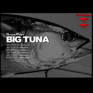 �y�݌ɂ���E���[�z���b�v���t�B�b�V���[ �r�b�O�c�i76 �W���p���X�y�V���� Ripple Fisher Big Tuna 76 JAPAN SP