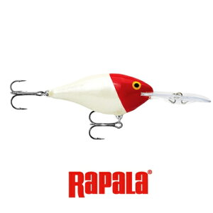 ���p���@RISTO RAP 8cm�i���X�g���b�v 8cm�j RR8