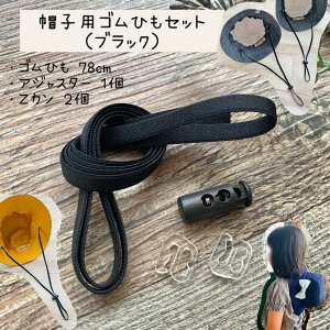 Xq SR R {R SЂ Ђ {Ђ ASR  AWX^[ O AM[ AM[  nhCh ޗ ށbXqpSRZbgiubNj