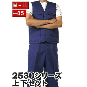 �y�|�C���g2�{�z�Ј� �㉺�Z�b�g �x�X�g x �j�b�J�Y�{�� 2530s611406 �����T�L 11 ��ƕ� ��ƒ� �j�b�J�|�b�J ��ƃY�{�� �Ε�