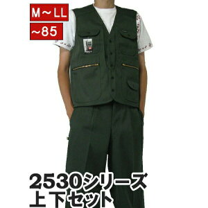 y|Cg2{zЈ ㉺Zbg xXg x jbJY{ 2530s611406 _[NO[ 35 ƕ ƒ jbJ|bJ ƃY{ Ε