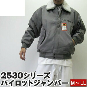 y|Cg2{zЈ Ј pCbgWp[ hJW 47.fB[vO[ M`LL 2530-124 ƕ ƒ h Ј h