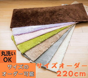 Lb`}bg 220cm Ȃ  O}bg ėp O 45×220 I[V[Y 􂦂 VM[O   ᔽ O  䏊 }bg L~ n  J[ybg ~ L