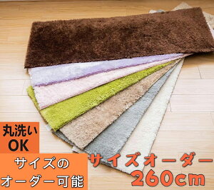 Lb`}bg 260cm   J[ybg 45×260 􂦂 Ɍ VM[O  ᔽJ[ybg ~p oX}bg  䏊}bg 260 g ʏ O}bg ~ߕt  