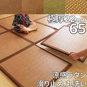 WCgJ[ybg O 65×65 ` WCg}bg 65cm  2cm ⊴ O}bg ėp  WCgO 􂦂 ӂӂ jbg ~ 킢 ᔽO ėpO 