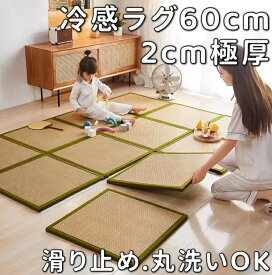 ジョイントマット 60x60 冷感 ラグ 夏用 ジョイントラグ 60cm 厚手 ジョイントカーペット ラグ 正方形 ジョイント ラグ おしゃれ 滑り止め サマーラグ さらさら 夏ラグ ラグカーペット 夏 夏用ラグ ひんやり 洗える 北欧 ラグ 小さめ 涼しい センターラグ 低反発 ラグ 2cm厚