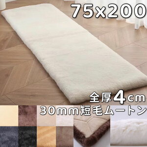 [g NbV Z 200cm 75×200 [g V[gNbV 􂦂 [g V[g Jo[ [gO Z zc V[gJo[ ԗp 㕔 J[V[g J[NbV y