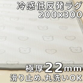 ラグ 200×300 冷感ラグ 厚手 洗える 夏 ラグ 接触冷感 ラグ 200 300 低反発ラグ かわいい くま柄 ラグマット 低反発 カーペット おしゃれ 滑り止め付 センターラグ 3畳 さらさら 冷感 ラグカーペット へたらない ひんやり ラグ 三畳 夏用ラグ 涼感 省エネ 節電 極厚 22mm