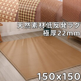 ラグ 150×150 正方形 150 150 冷感ラグ 夏用 厚手 ひんやり 洗える ラグ 夏用 おしゃれ 滑り止め ラグマット 150 北欧 涼しい センターラグ 冷感 カーペット 低反発ラグ ごろ寝 赤ちゃん プレイマット ベビー クッション へたらない 防臭 省エネ サマーラグ さらさら 2cm厚