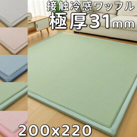 ラグ 200×220 低反発ラグ 厚手 ラグ 洗える ラグマット 220 200 低反発カーペット 北欧 カーペット おしゃれ 滑り止め付き センターラグ 夏用 接触冷感 ワッフル生地 ひんやり 絨毯 リビング 本間 2畳 江戸間 2.5畳 団地間 ラグカーペット へたらない 敷物 極厚 3cm ラグ 夏