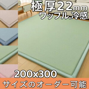 bt O 200×300 Ђ ⊴O Ɍ 2cm ᔽO ėpO  􂦂  O ڐG⊴ O}bg ėp ӂӂ NbV}bg J[ybg 3 k ~ Z^[O